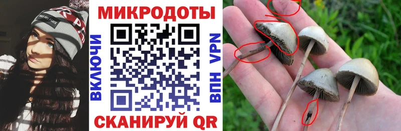Галлюциногенные грибы Cubensis  Костерёво 