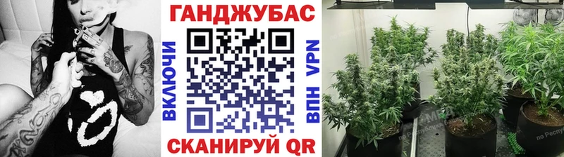 Канабис гибрид  Костерёво 
